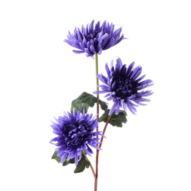 beyaz arkaplanda izole edilmiş yapay çiçekler  