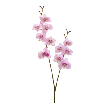 beyaz arkaplanda izole edilmiş yapay çiçekler  