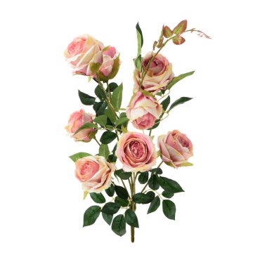 beyaz arkaplanda izole edilmiş renk yapay bitkisi  