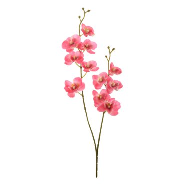 beyaz arkaplanda izole edilmiş yapay çiçekler  