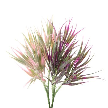 Beyaz arkaplanda izole edilmiş yapay bitkilerin renk dalları   