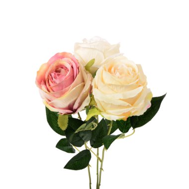 beyaz arkaplanda izole edilmiş renk yapay bitkisi  