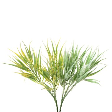 Beyaz arkaplanda izole edilmiş yapay bitkilerin renk dalları   