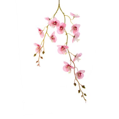 beyaz arkaplanda izole edilmiş yapay çiçekler  