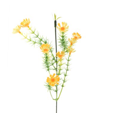 beyaz arkaplanda izole edilmiş yapay çiçekler  