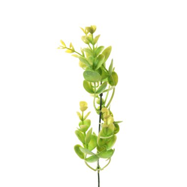 beyaz arkaplanda izole edilmiş yapay çiçekler  