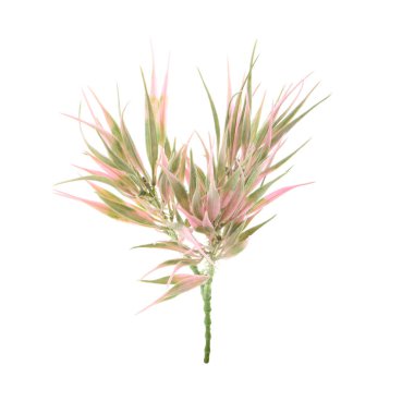 Beyaz arkaplanda izole edilmiş yapay bitkilerin renk dalları   