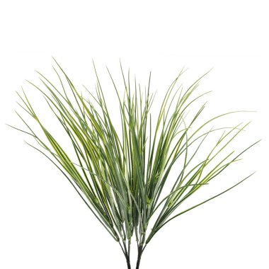 Beyaz arkaplanda izole edilmiş yapay bitkilerin renk dalları   