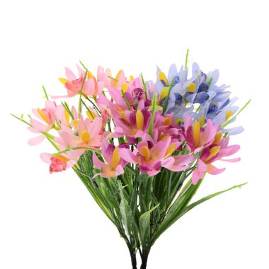 beyaz arkaplanda izole edilmiş renk yapay bitkisi  