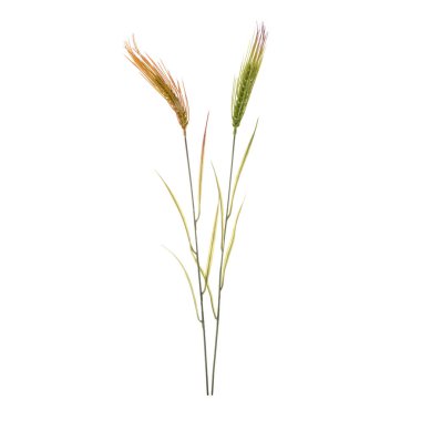 beyaz arkaplanda izole edilmiş yapay çiçekler  