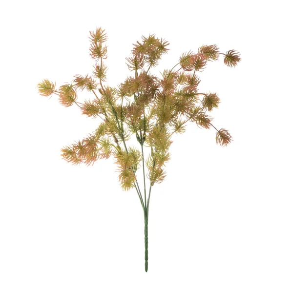 Barevné Větve Umělých Rostlin Izolovaných Bílém Pozadí — Stock fotografie