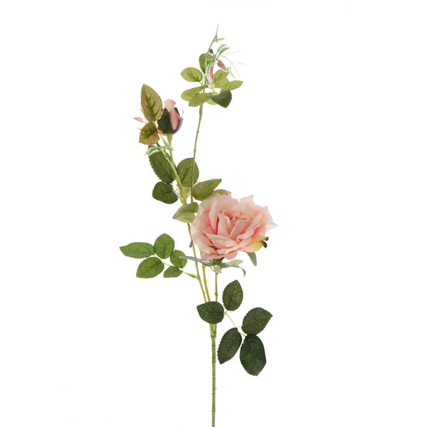 Colore Rose Artificiali Fiori Isolati Sfondo Bianco — Foto Stock