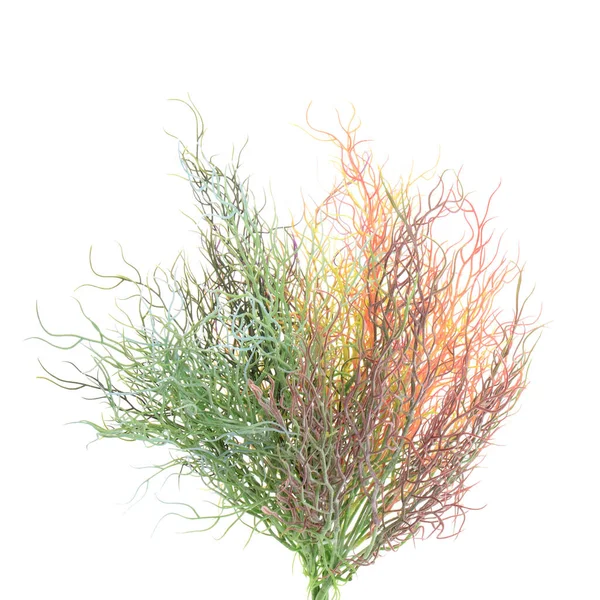 Färg Grenar Konstgjorda Växter Isolerade Vit Bakgrund — Stockfoto