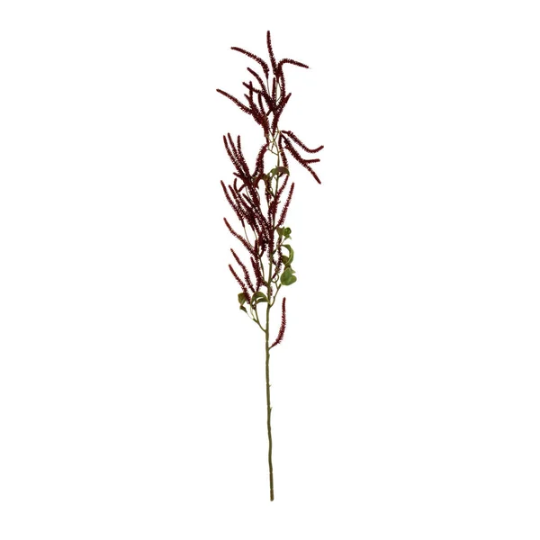 Χρώμα Τεχνητό Φυτό Ιριδίζουσες Απομονώνονται Λευκό Φόντο — Φωτογραφία Αρχείου