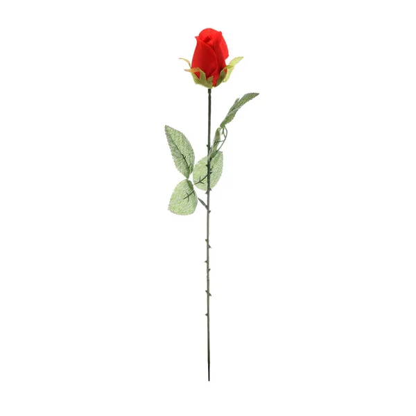 Цвет Искусственный Цветок Розы Изолированы Белом Фоне — стоковое фото