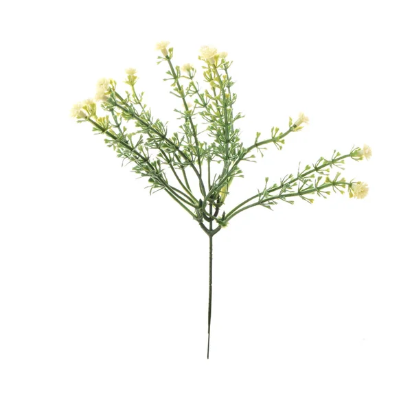 Beyaz Arkaplanda Izole Edilmiş Yapay Çiçekler — Stok fotoğraf