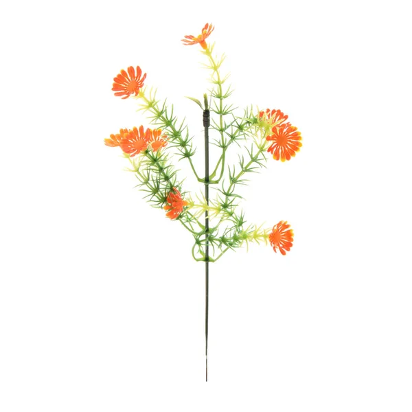 Barva Umělé Květiny Izolované Bílém Pozadí — Stock fotografie