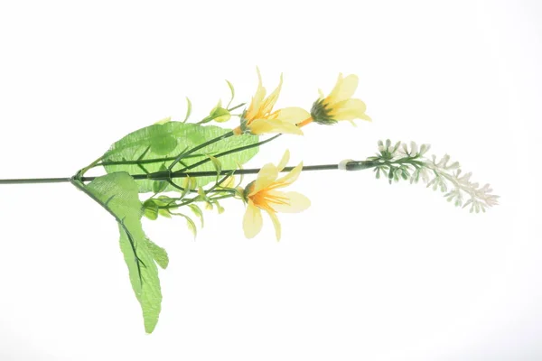 Barva Umělé Květiny Izolované Bílém Pozadí — Stock fotografie