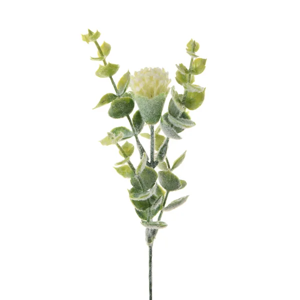 Color Artificial Flowers Isolated White Background — Stock Photo, Image