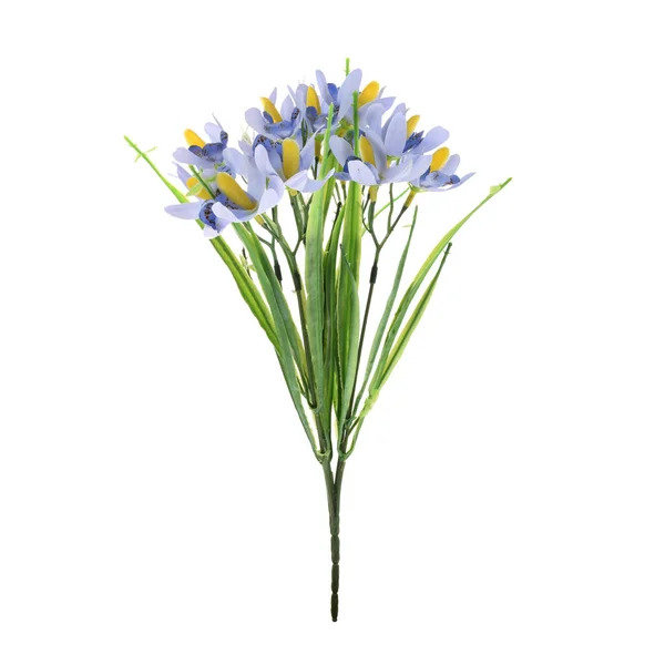 Farbe Künstliche Pflanze Mit Lraves Isoliert Auf Weißem Hintergrund — Stockfoto