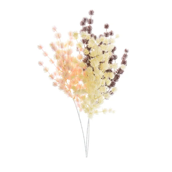 Färg Konstgjord Växt Med Lraves Isolerad Vit Bakgrund — Stockfoto