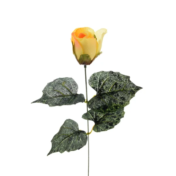 Kolor Sztuczny Kwiat Róży Izolowane Białym Tle — Zdjęcie stockowe