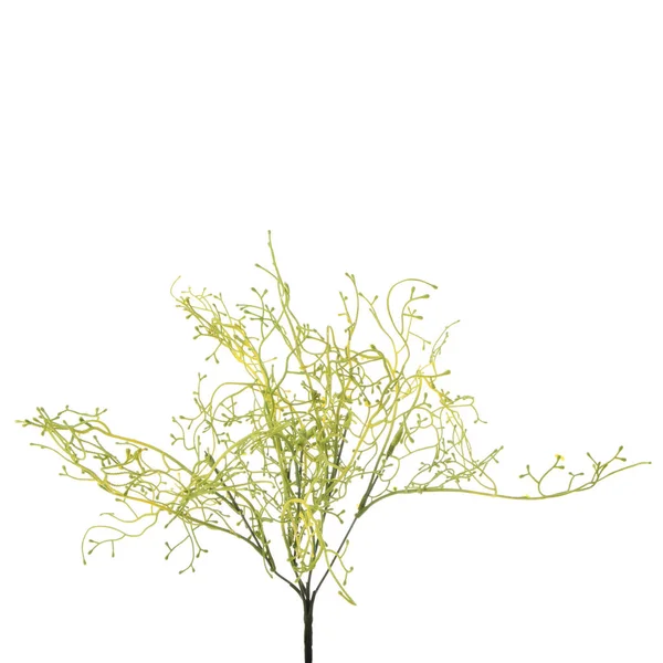 Farbige Zweige Künstlicher Pflanzen Isoliert Auf Weißem Hintergrund — Stockfoto