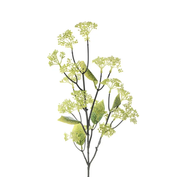 Цветовое Искусственное Растение Изоляцией Белом Фоне — стоковое фото
