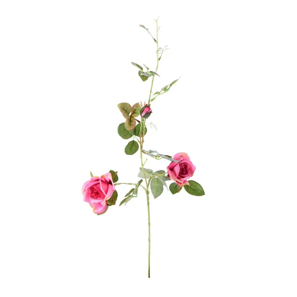 Χρώμα Τεχνητά Τριαντάφυλλα Λουλούδια Απομονώνονται Λευκό Φόντο — Φωτογραφία Αρχείου