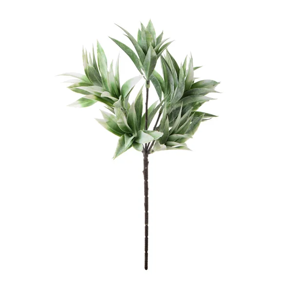 白い背景に隔離された人工植物の色の枝 — ストック写真
