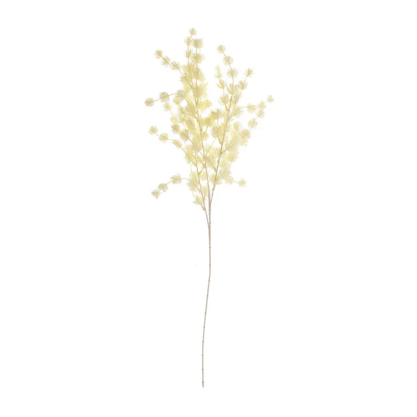 Χρώμα Τεχνητό Φυτό Ιριδίζουσες Απομονώνονται Λευκό Φόντο — Φωτογραφία Αρχείου
