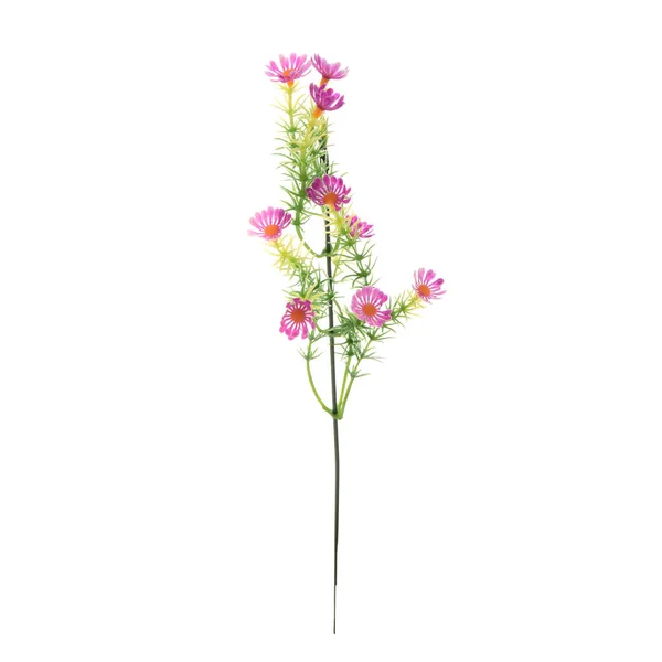 Kleur Kunstbloemen Geïsoleerd Witte Achtergrond — Stockfoto