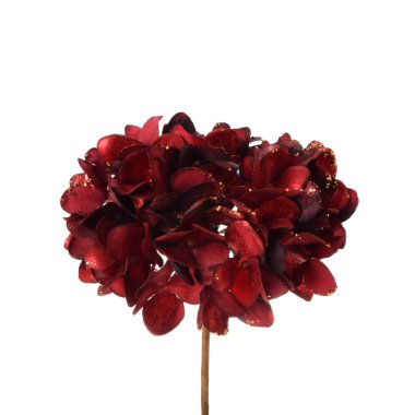 beyaz arkaplanda izole edilmiş renk yapay bitkisi  