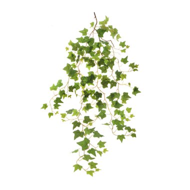 beyaz arkaplanda izole edilmiş yapay bitkiler  