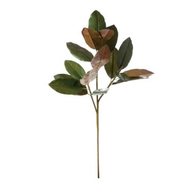 beyaz arkaplanda izole edilmiş yapay bitkiler  