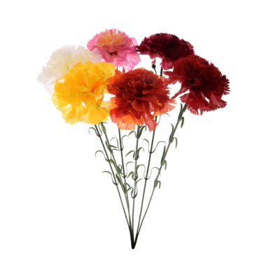 karanfil çiçekleri beyaz arkaplanda izole edilmiş 