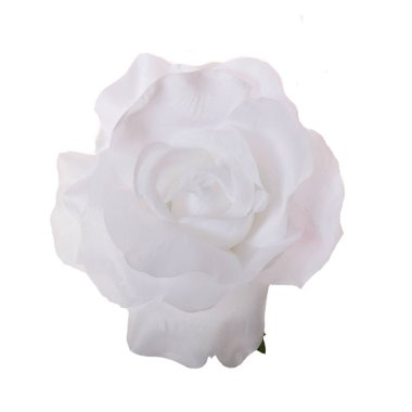 Yapay gül çiçeği izole edilmiş beyaz arkaplan