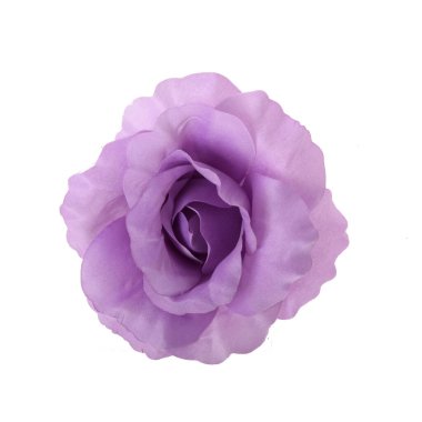 Yapay gül çiçeği izole edilmiş beyaz arkaplan