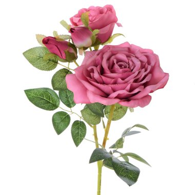 Yapay gül çiçekleri izole edilmiş beyaz arkaplan