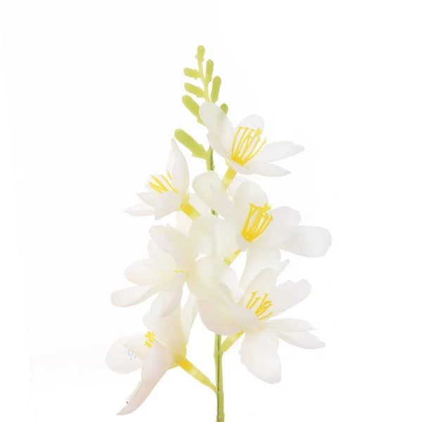 Color Flores Artificiales Aisladas Sobre Fondo Blanco — Foto de Stock