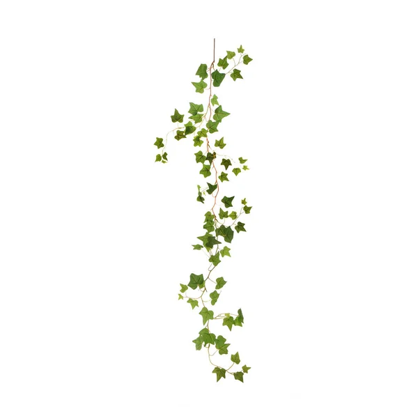 白い背景に隔離された色の人工植物 — ストック写真
