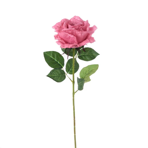 Rose Artificielle Fleur Isolé Fond Blanc — Photo