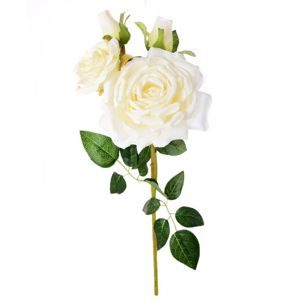 Roses Artificielles Fleurs Isolé Fond Blanc — Photo