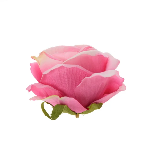 Róża Izolowana Białym Tle — Zdjęcie stockowe