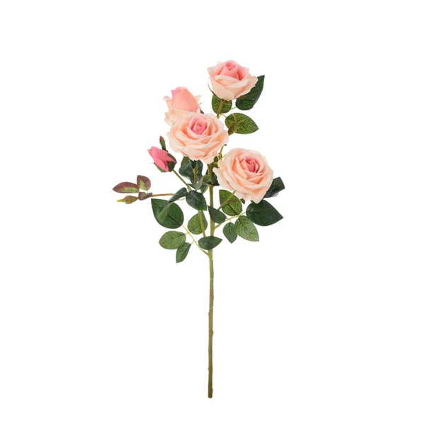 Roses Artificielles Fleurs Isolé Fond Blanc — Photo
