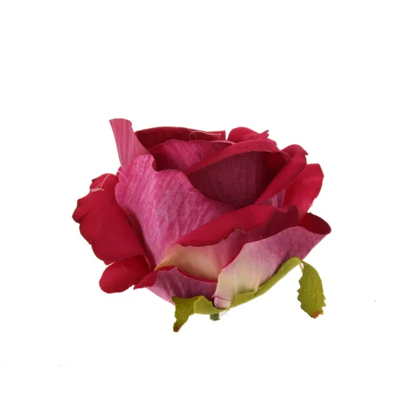 Róża Izolowana Białym Tle — Zdjęcie stockowe