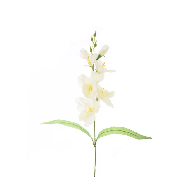 Цветовое Искусственное Растение Изоляцией Белом Фоне — стоковое фото