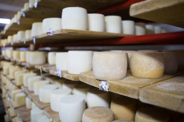 İsviçre peyniri kiler