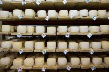 İsviçre peyniri kiler