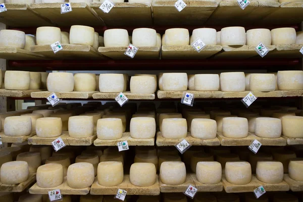 İsviçre peyniri kiler